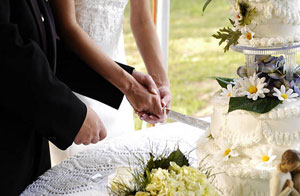 Wedding Cakes Brixham Devon